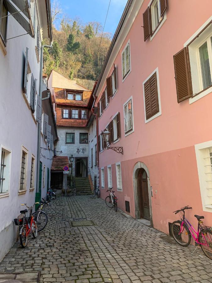 Charming 45M2 Apartment In Heart Of Graz Dış mekan fotoğraf